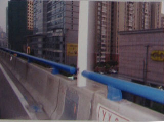 ������ʪ�������Ϳ��