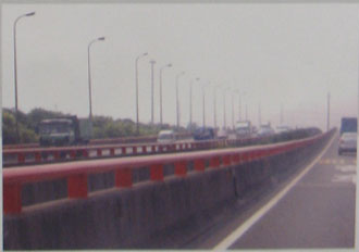 ���Ȼ�����ϩ�������Ϳ��