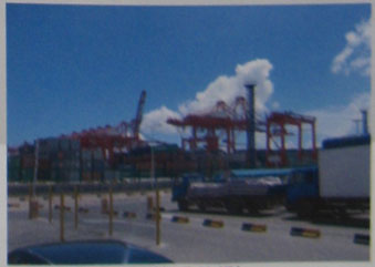 �Ȼǻ�����ϩ�������Ϳ��